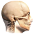 Lateral Skull Base Surgery
