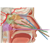 Endoscopic Pituitary Surgery