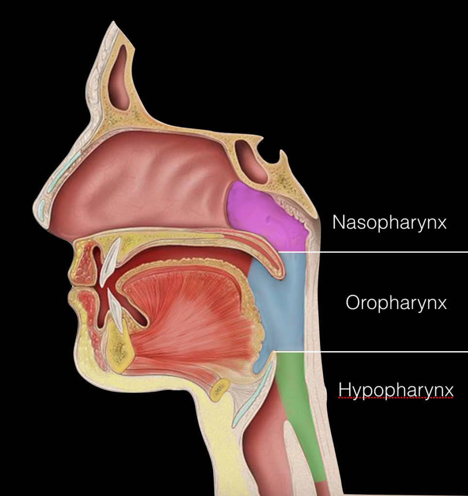 Cancer of Hypopharynx | Head and neck surgical oncologist