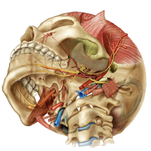 Fig.8
